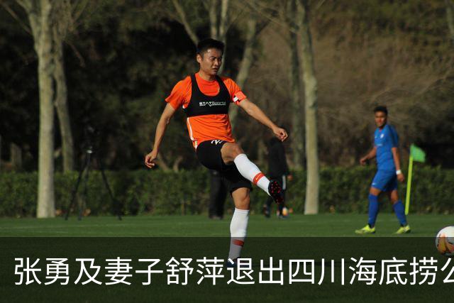 张勇及妻子舒萍退出四川海底捞公司董事会，控制权未变